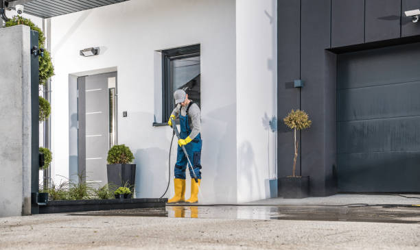 Best Driveway Pressure Washing  in Macdonnell Heights, NY